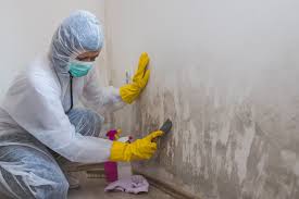 Best Crawl Space Mold Remediation  in Millersburg, OH